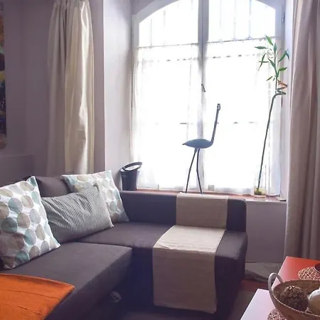 L'abri Alsacien - Cosy Plein Centre Cathedrale Apartment *